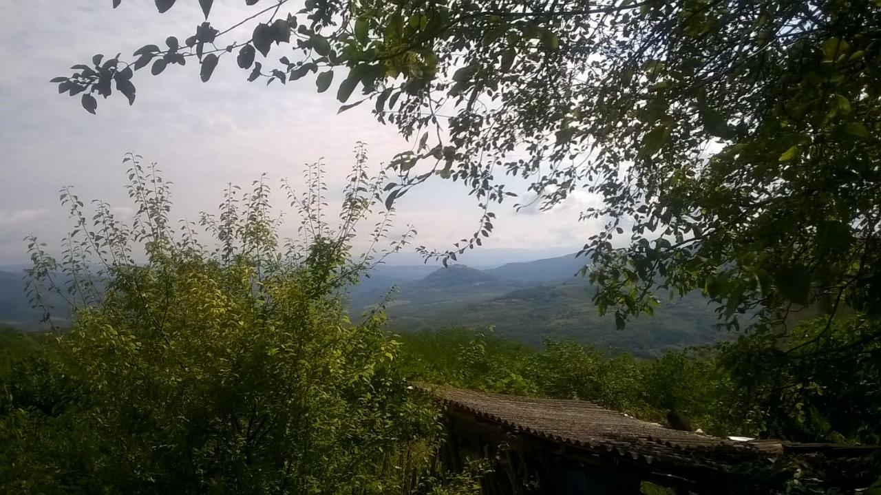 Holiday Home Vižinada מראה חיצוני תמונה